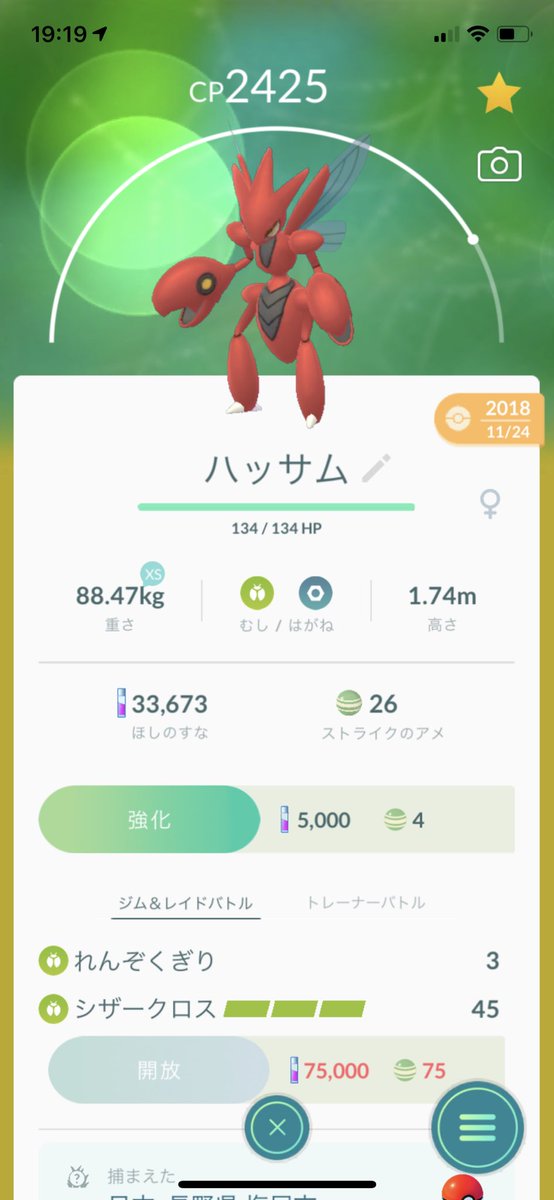 紀子 アニポケ サトシの相棒のストライクが たった今 ハッサムに進化 O アニポケ アニメポケットモンスター ストライク ハッサム ストライク進化 ポケモンgo