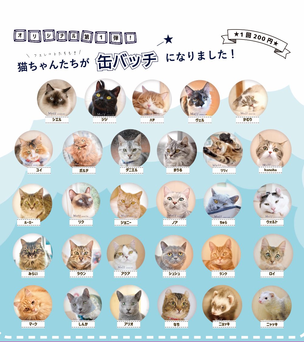 Moff Animal Cafe 名古屋parco店 Moff Nagoya Twitter