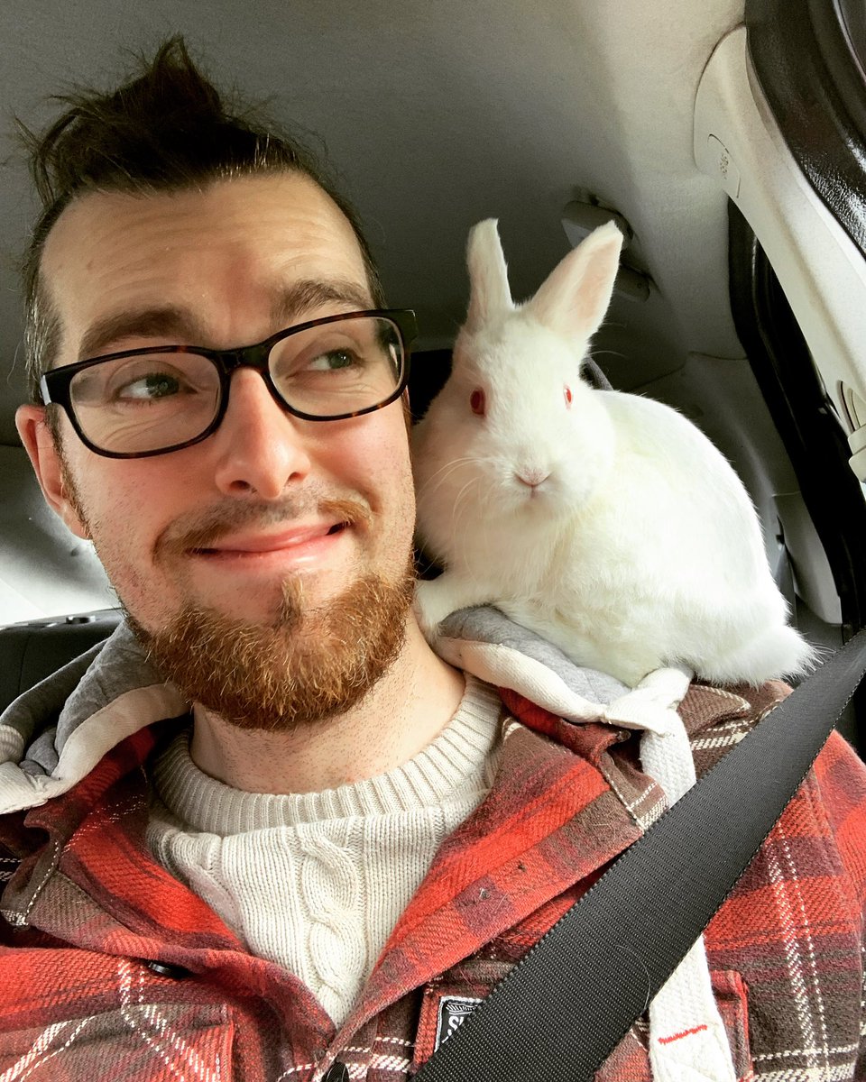 Bongo had his first visit to the vets yesterday, just for a health check, vaccinations and to get his claws cut! Here we are back in the car after his little day out. I’m sure he belonged to a pirate in a previous life! 🐇 🎩 🏴‍☠️ 🪄