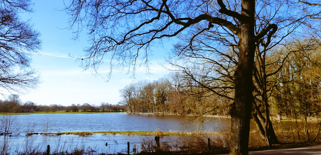 Lutterzand's tweet photo. #Goedemorgen heerlijk weer om te #wandelen in #natuurgebied #Lutterzand met elke keer weer een prachtig nieuw uitzicht. We zijn geopend voor #ToGo bij #Paviljoen @Lutterzand. https://t.co/sCpi8pr2yj