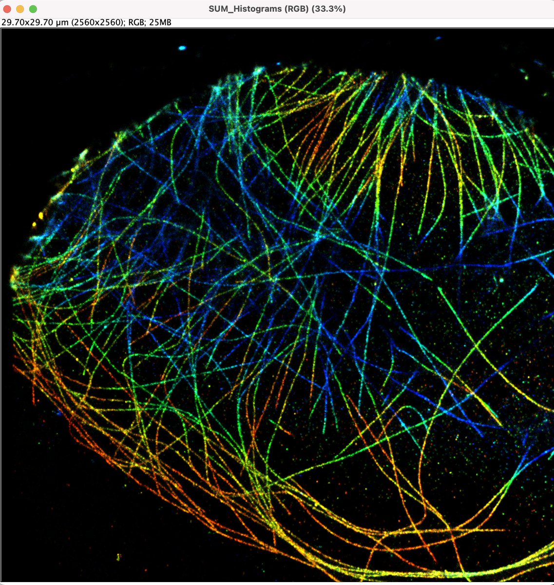Running the course 'Biophysical Imaging' @WUR. Today: #SMLM analysis with 3D phasor ThunderSTORM and open data from @JonasRies (bigwww.epfl.ch/smlm/challenge…)