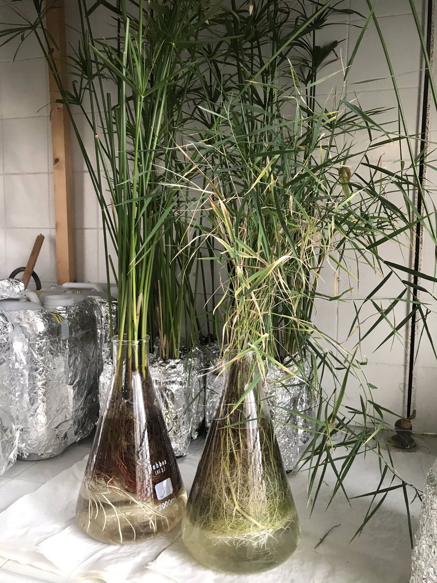 Environmental Pollution & Agriculture (EPA) tweet media