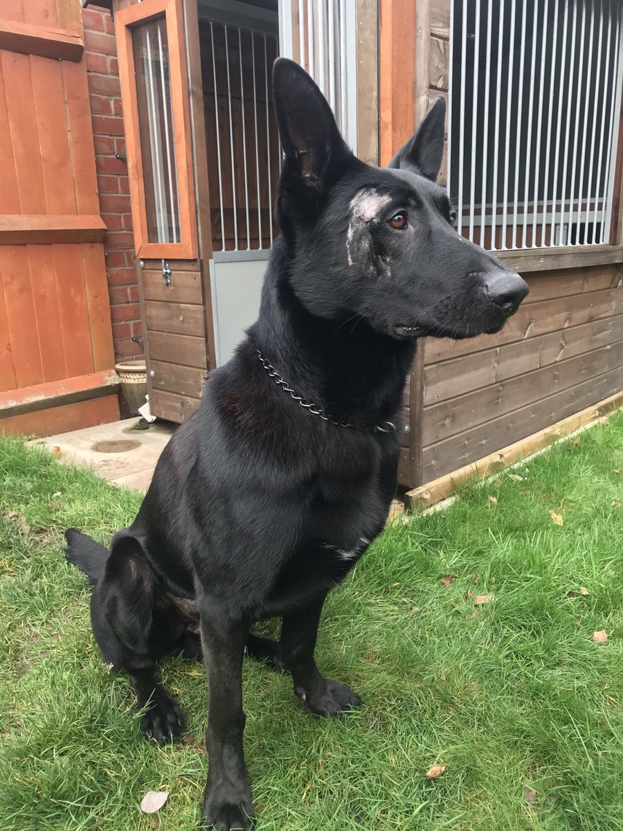 Paul Hopley tweet media