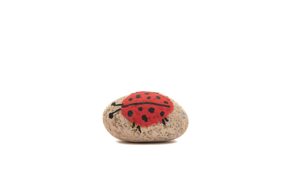 Paint a Pebble and Post it!
(But not through next door's letterbox 😲 )

Go positively pebble potty! - tweet us your painted (or decorated) pebbles using #ArtofSavingSpecies - they could be featured on our gallery 🎨

For inspiration 👉 naturebftb.co.uk/artwork/pebble…

#FridayMorning