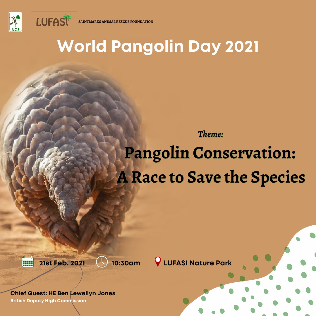 ... LUFASI in collaboration with SaintMark's Animal Rescue Foundation (SARF) and the Nigerian Conservation Foundation (NCF) will be commemorating this year’s #WorldPangolinDay... Read more >>> instagram.com/p/CLeH2TlljRF/…
