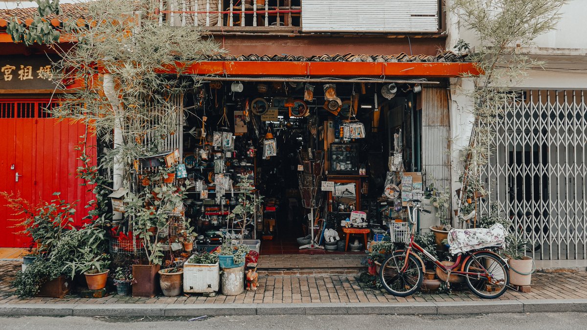 DUST & BONE tweet media