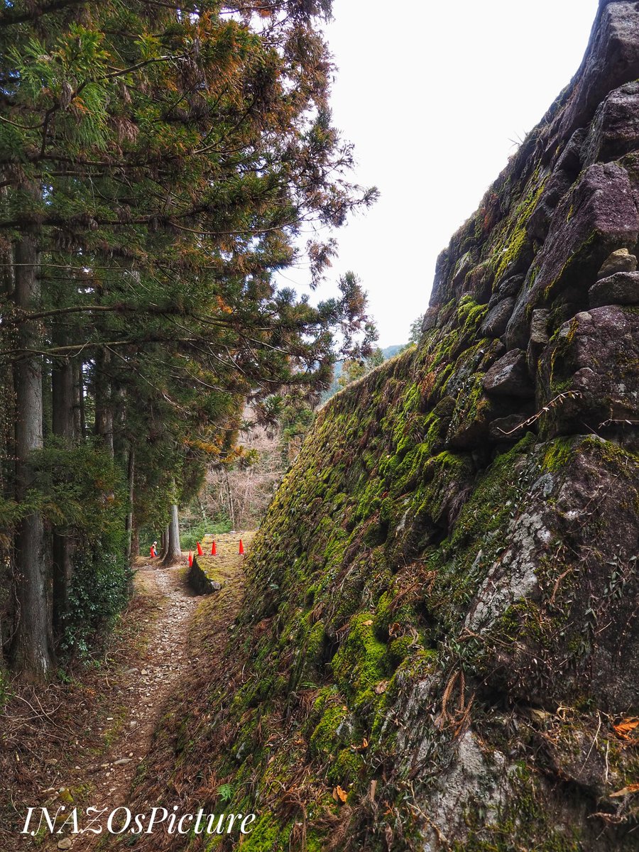 inazo_hardfolk's tweet photo. #岩村城 #女城主
#風景撮影 #風景写真
#Landscapephotography
#Japaneselandscape
#日本 #Japan #岐阜県 #恵那市 #城後 #石垣 #岩村城 #苔
#岩村町 #いわむら町
#castle #ENACity
#FromJapan
#japanesecastle
#INAZOsPicture https://t.co/DzmoWBO7ve