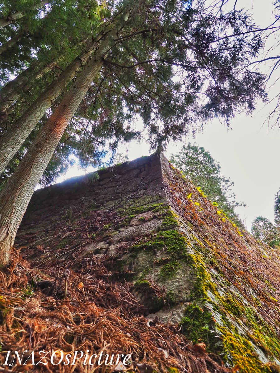 inazo_hardfolk's tweet photo. #岩村城 #女城主
#風景撮影 #風景写真
#Landscapephotography
#Japaneselandscape
#日本 #Japan #岐阜県 #恵那市 #城後 #石垣 #岩村城 #苔
#岩村町 #いわむら町
#castle #ENACity
#FromJapan
#japanesecastle
#INAZOsPicture https://t.co/DzmoWBO7ve
