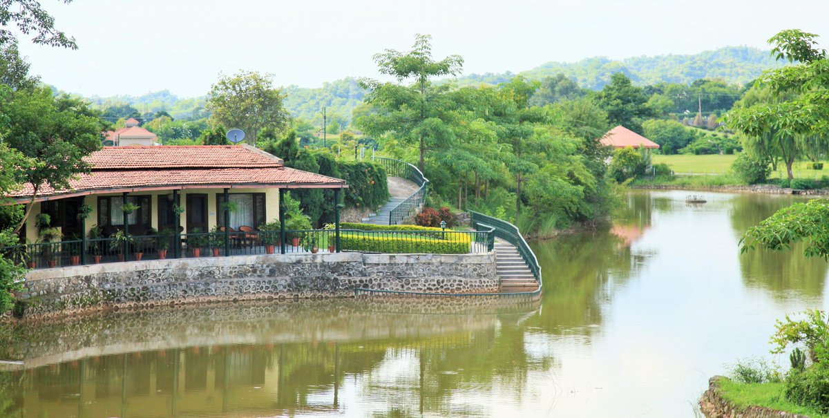 Experience nature’s symphony at magnificent Forest Hill Resort