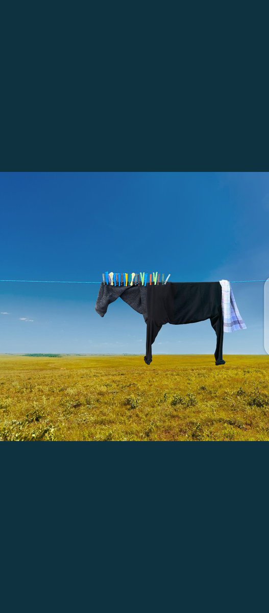 إبداااااااااع