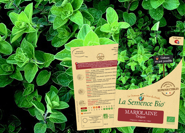 La Semence Bio tweet media