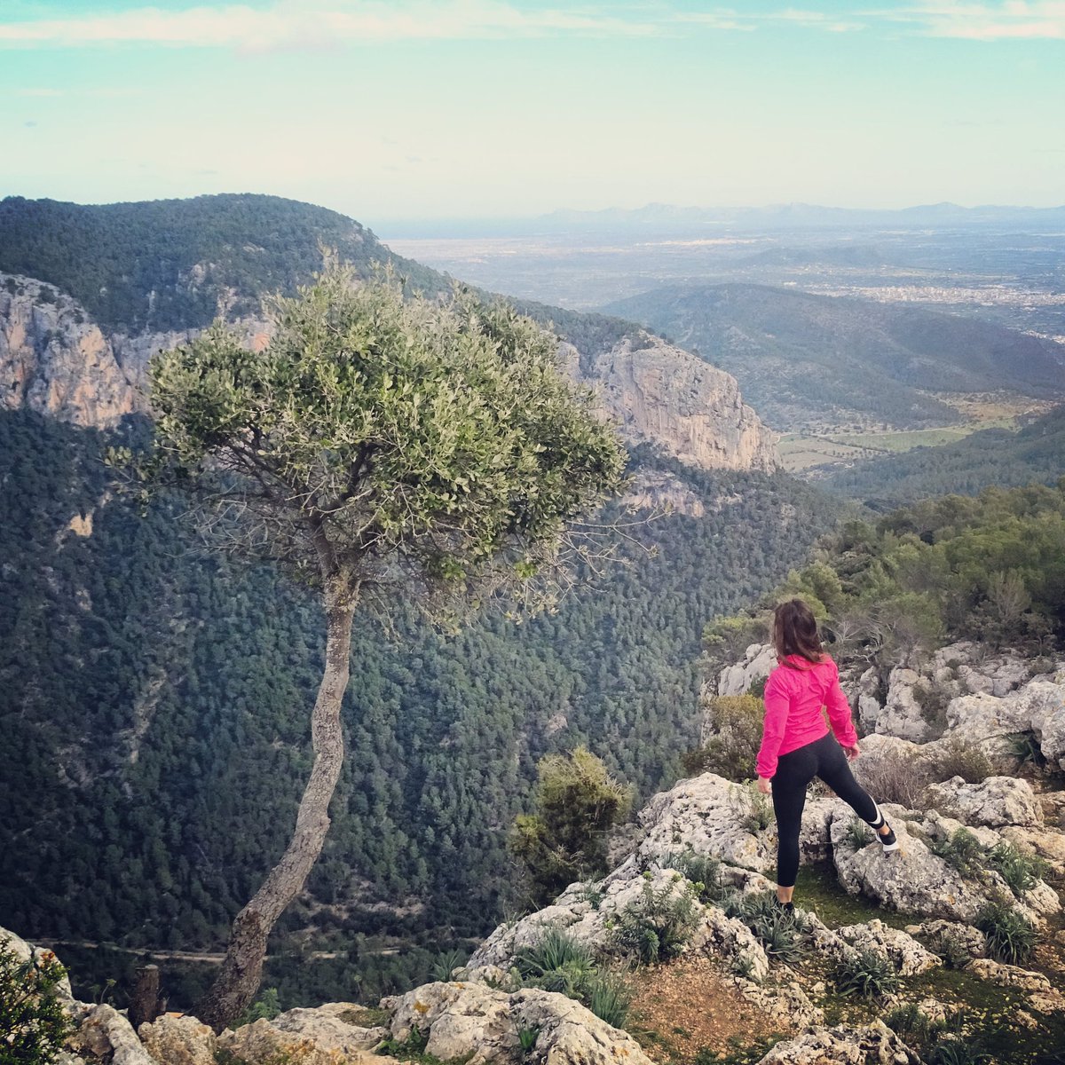 irenina14's tweet image. Solas por los caminos. 
Hasta llegar al cerro.  Andar. Correr. Llegar corriendo al amanecer. 
Silencio.
Paz.
El proceso de hacer el camino. 
💚💙🧚🏻‍♀️🧚‍♀️ #nuncacorrerássola #yoelegicorrer #runforfreedom