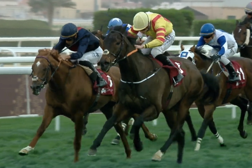 TheIrishField's tweet photo. Well done @adomcguinness1 , @WhelanRonan and Total Recall Racing Club. Bowerman wins the $200,000 @IREthoroughbred Cup in Doha, Qatar. Report in The Irish Field tomorrow &amp; online later. https://t.co/tnleHg8GDk