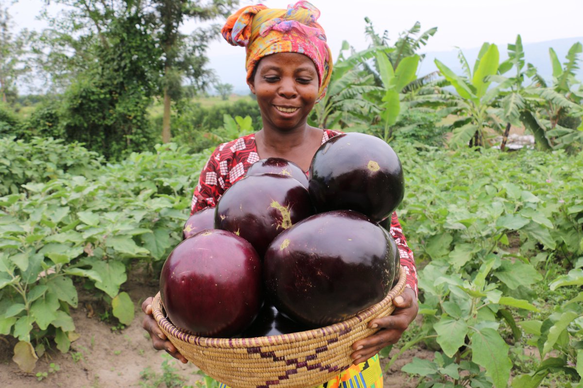 FAO in Uganda tweet media