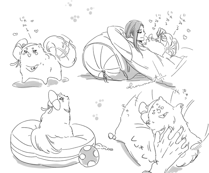 ポメ 