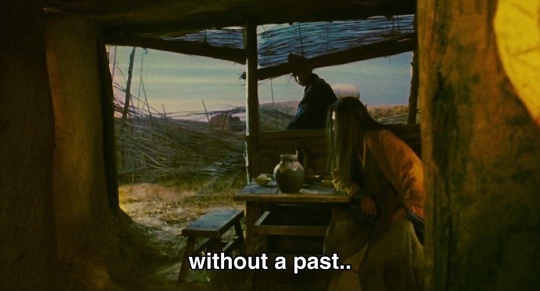  Ashes of Time (1994) / dir. Wong Kar Wai