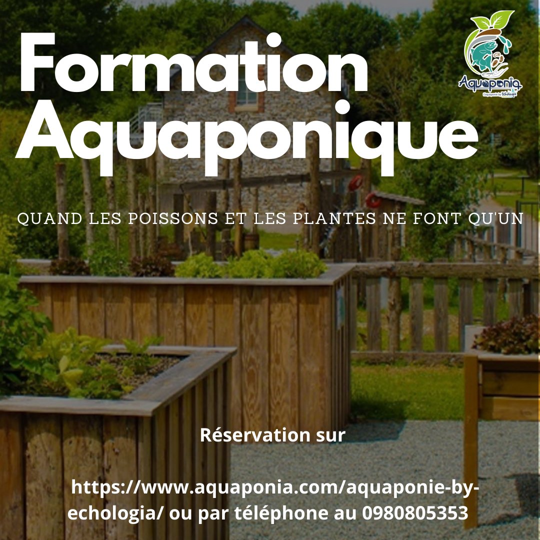 Vous souhaitez découvrir et vous formez à l'aquaponie. Profitez de tarifs avantageux jusqu'au 22 février pour notre nouvelle formation du 22 au 26 mars 2021.
Réservation sur aquaponia.com/aquaponie-by-e…
#Poissons #légumes  #aquaponie #formation #plantes <a href="/AquaponiaEcho53/">Aquaponia Aquaponie by Echologia</a> <a href="/Echologia/">Echologia</a>