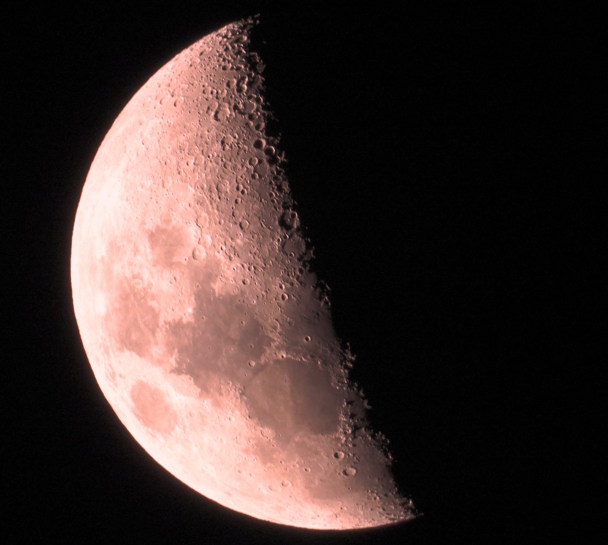 CherScheff's tweet photo. A pink Moon 

just for tonight in celebration of #Mars #mars2021 

#FridayMoon in night skies. 
#Sydneyskies https://t.co/BmFkbN9bsE