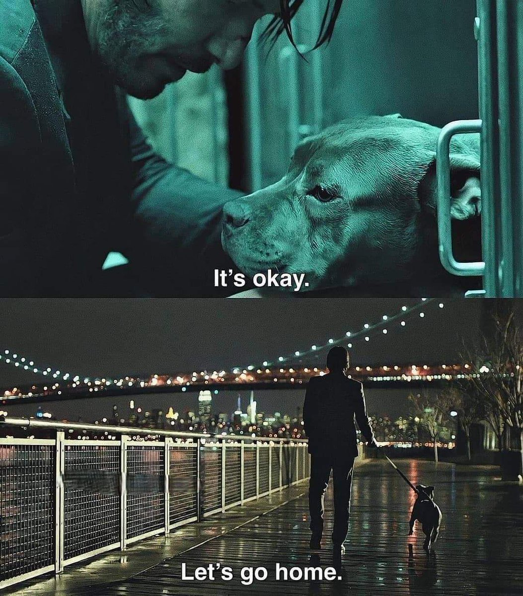  John Wick (2014) / dir. Chad Stahelski