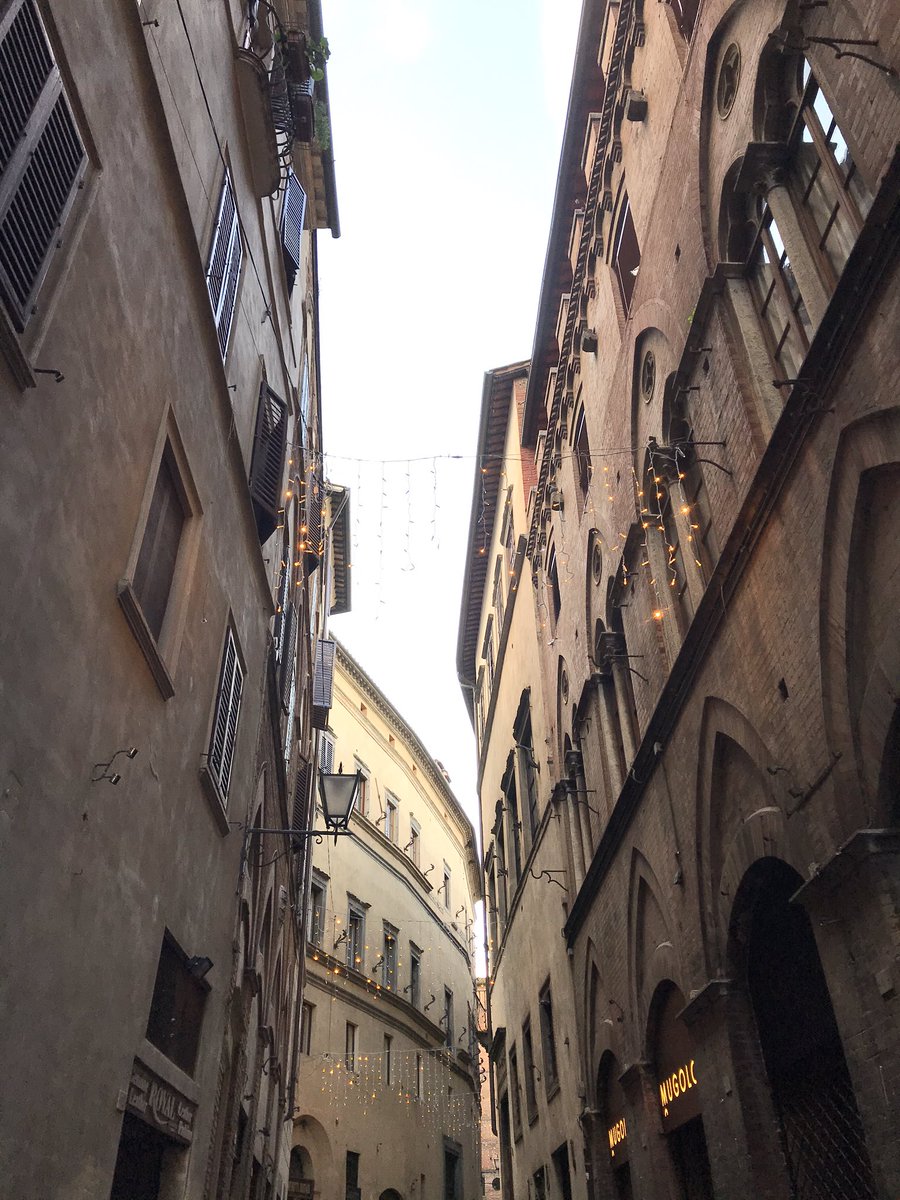 ceelynch's tweet photo. Beautiful Siena #siena#italia https://t.co/6y2ZTl916E
