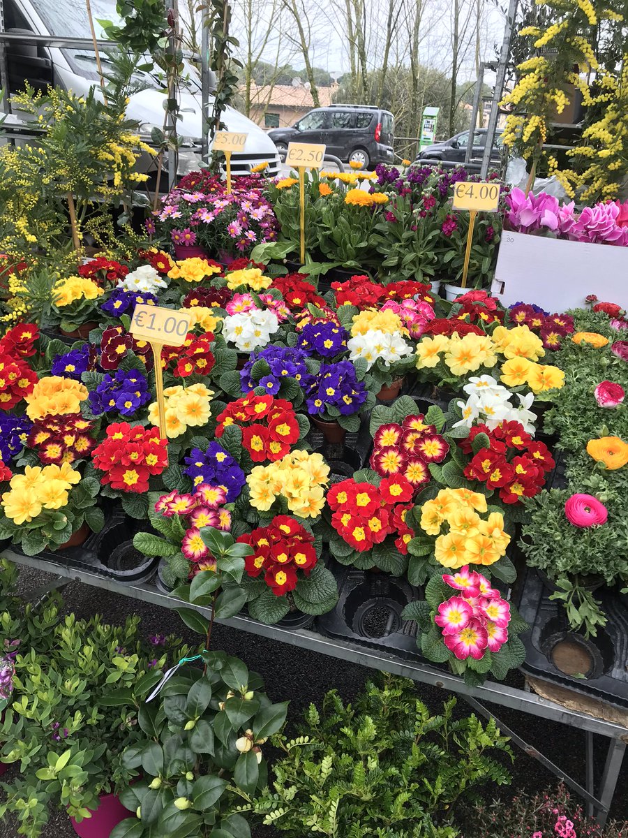 ceelynch's tweet photo. Market Day! https://t.co/sFFJXvH4On