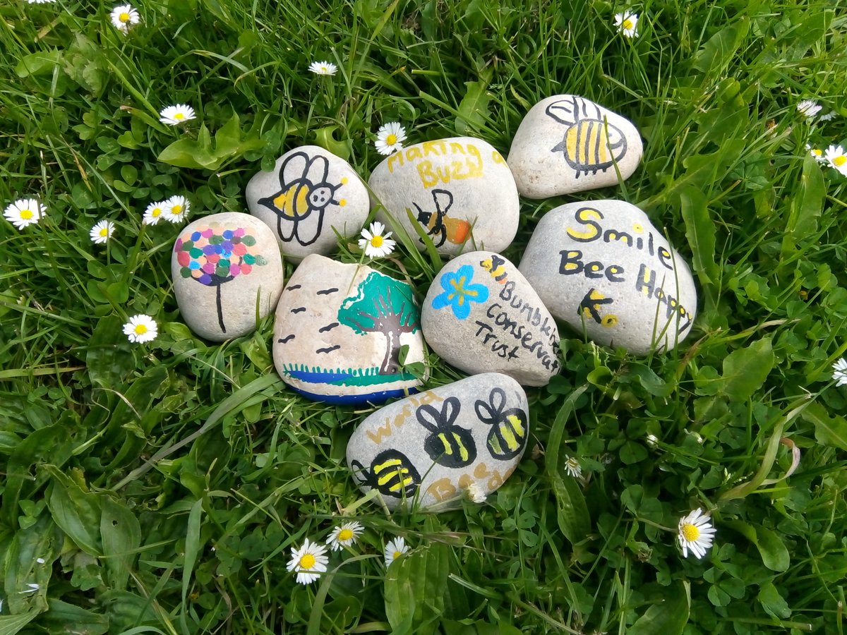 We love pebble painting 🐝🎨
Here are some we made with the help of volunteers to celebrate a previous World Bee Day! Using the humble bumble as our muse.
What do you think <a href="/NatureBftB/">Back from the Brink</a>? #ArtofSavingSpecies

#fridaymorning #FridayFeeling #Makingabuzz <a href="/BumblebeeTrust/">Bumblebee Conservation Trust</a>