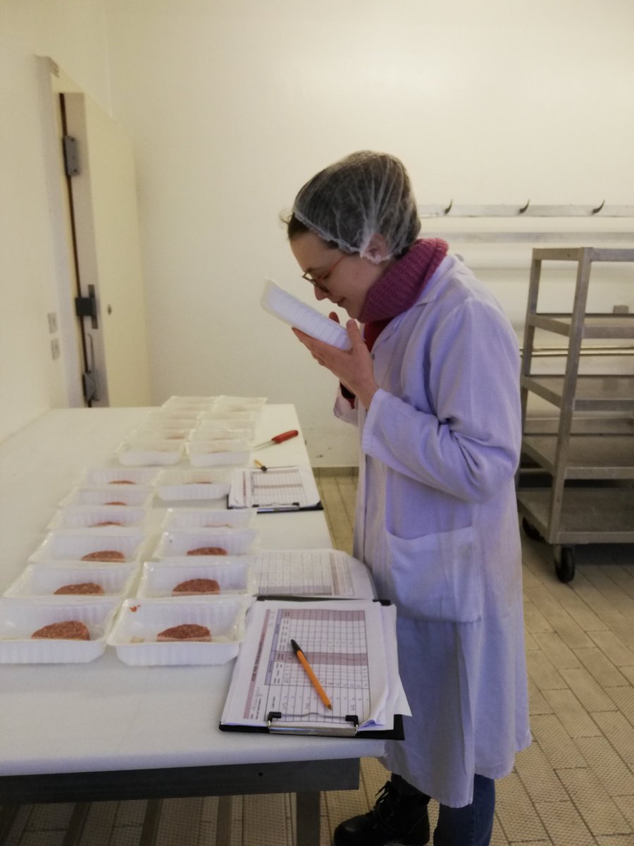IdeleLabo's tweet photo. #PIVO Le suivi de la conservation des #steaks hachés d'#agneau se termine pour le #conditionnement sous atmosphère modifiée 😁 Encore quelques jours pour ceux sous-vide !
Les analyses #bacterio se poursuivent aussi !
#SQCV_Idele @InstitutElevage @JNormand_Idele https://t.co/7Djb0UCCLy