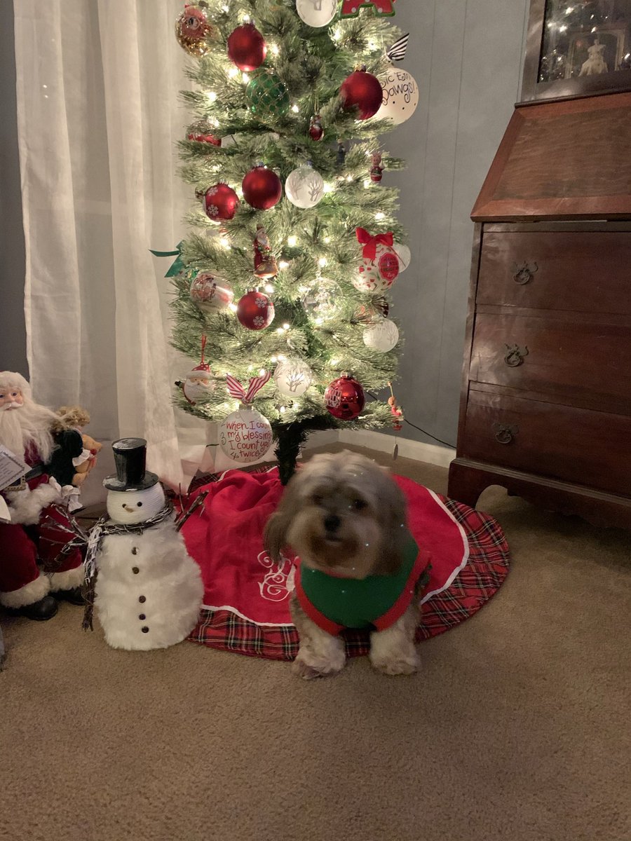 awcarter's tweet photo. @WCTVHudak @WCTV Chip!! https://t.co/8HqWz9O8d2