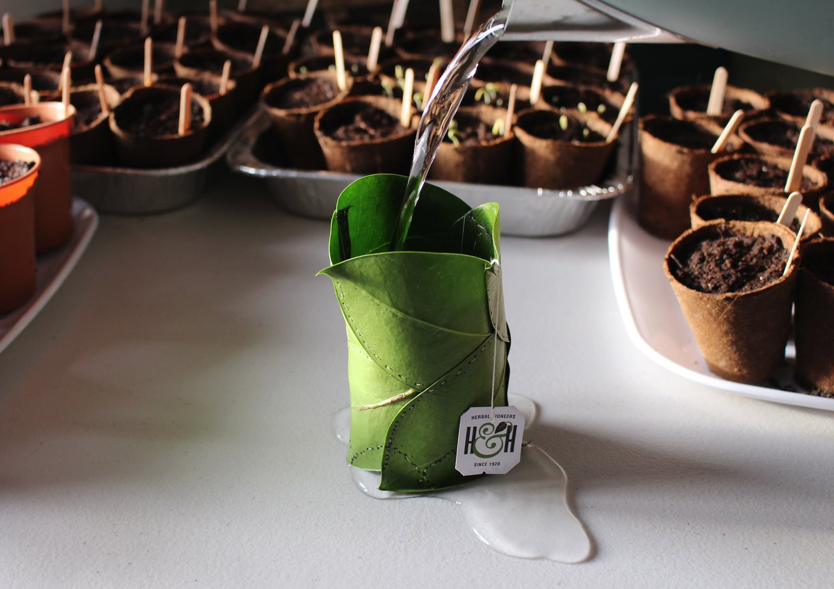 Massive congrats to this year's #ImagesofResearch finalists! We'll be featuring each of our top ten today. Here's Hannah Jones' entry on bio-based materials. View all the finalists' entries and vote for your People's Choice favourite at mmu.ac.uk/ior #PGR <a href="/mmu_RAH/">RAH! Manchester Met</a>