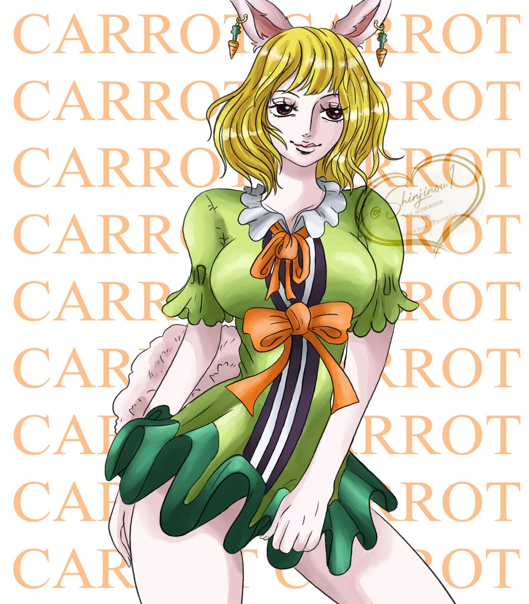 Onepiececarrot