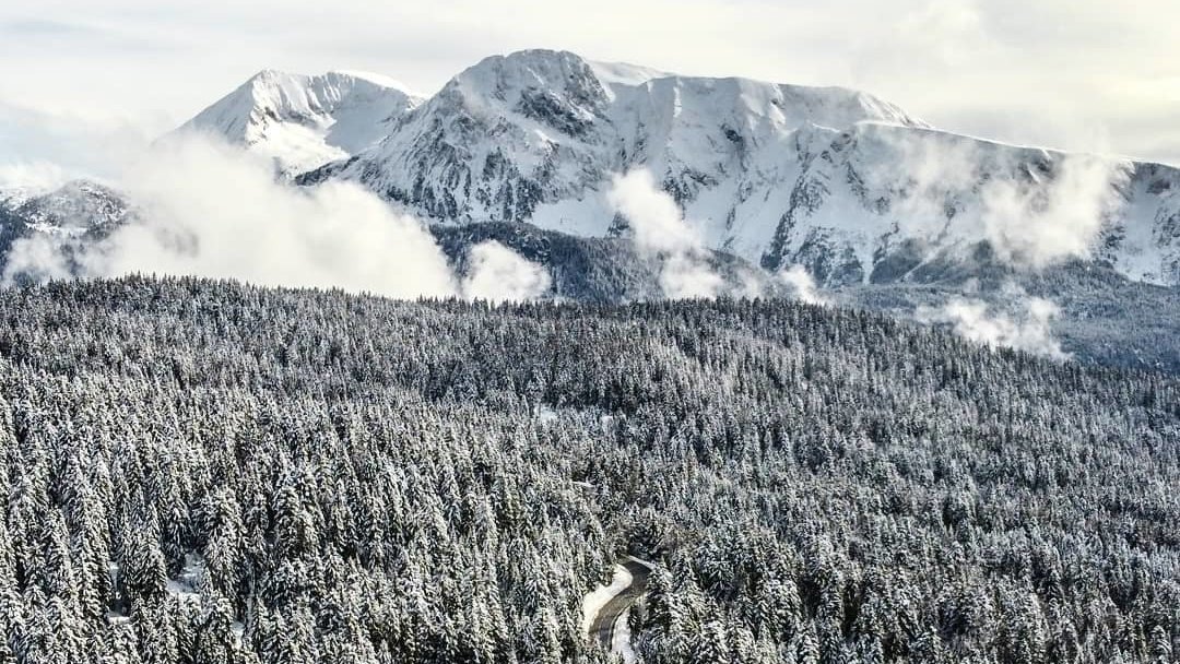 On ne sait pas vous, mais on n'est pas encore prêtes à laisser partir l'#hiver ! Alors on en remet un peu ! ❄
📸 DAVID &gt;&gt; instagram.com/alpesishere © patinusdavidus 
📍 <a href="/Chamrousse1700/">Chamrousse</a> - #Isère
#alpesishere #isere #chamrousse