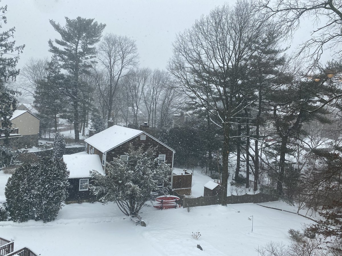 Dr. Toni Jones tweet media