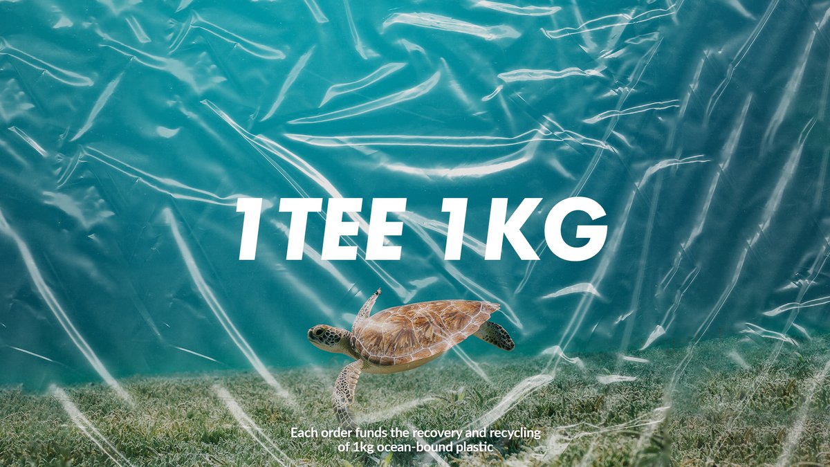 Marine Conservation Society tweet media