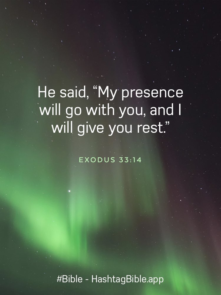 ChanksRed's tweet image. 