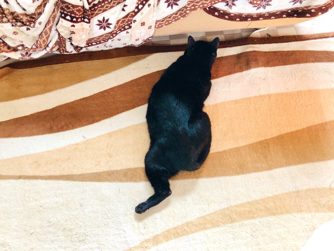 躍動感のtwitterイラスト検索結果