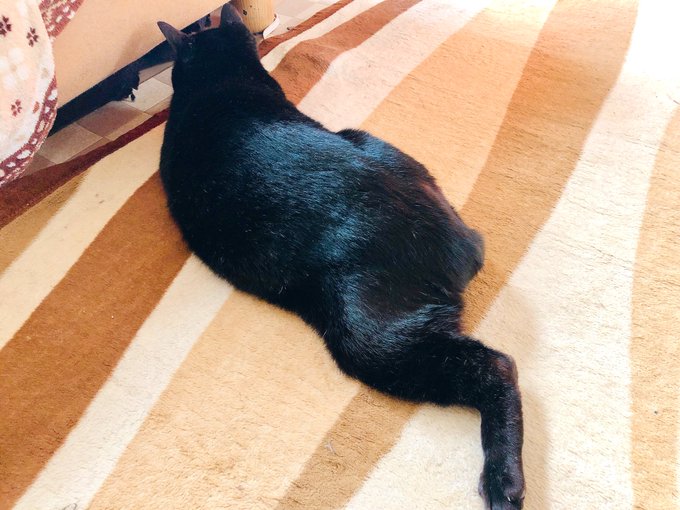 躍動感のtwitterイラスト検索結果