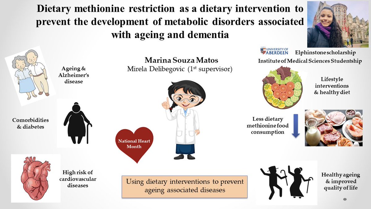 Dietary changes can prevent diseases linked to #aging #heartdisease &amp; decline of #brain function. Aberdeen CDC &amp; <a href="/mdelibeg/">Mirela Delibegovic</a> lab support #HeartMonth raising awareness of research into cardiovascular &amp; metabolic diseases in these difficult times. Thanks <a href="/Marina_SMatos/">Marina Souza Matos</a>