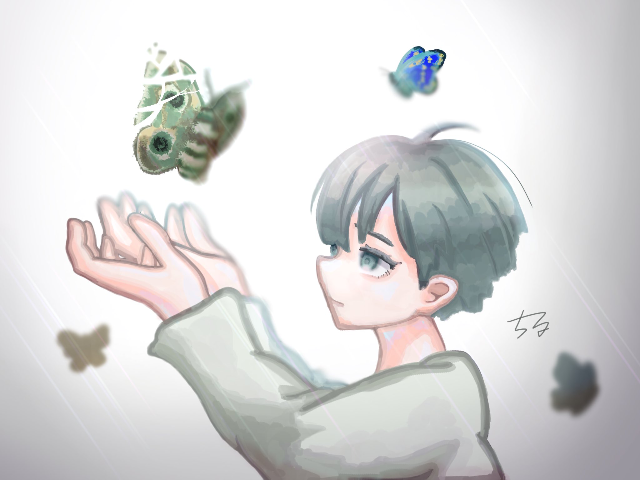 中一 国語 少年の日の思い出 ヘルマンヘッセ エーミール クジャクヤママユ イラスト イラスト好きな人と繋がりたい 絵描きさんと繋がりたい T Co Acxwfycvzp Twitter