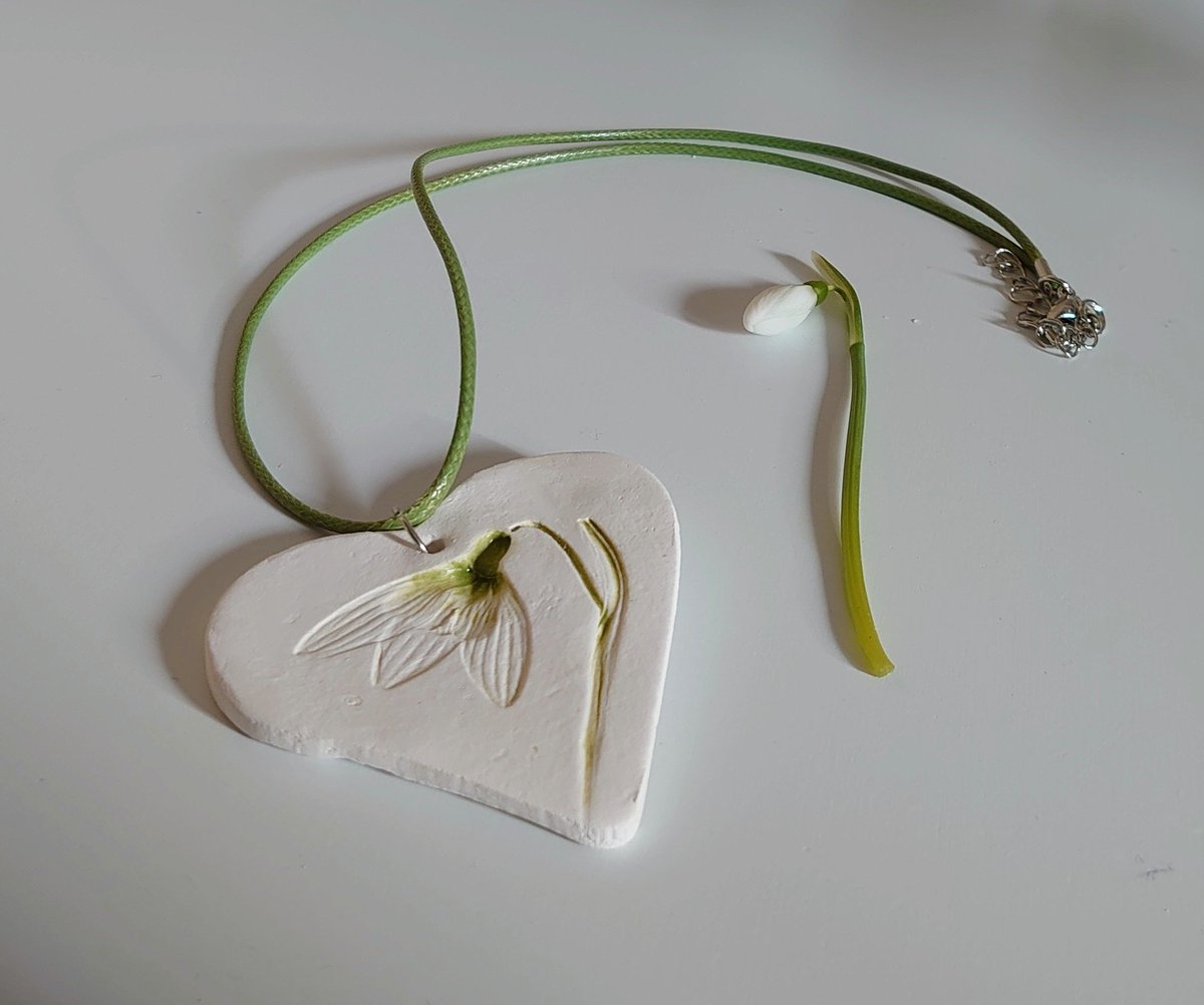 Mothers day gift ideas. 
etsy.com/uk/shop/Creati…
<a href="/elevenseshour_/">#elevenseshour</a> #elevenseshour #botanicalart #snowdrops