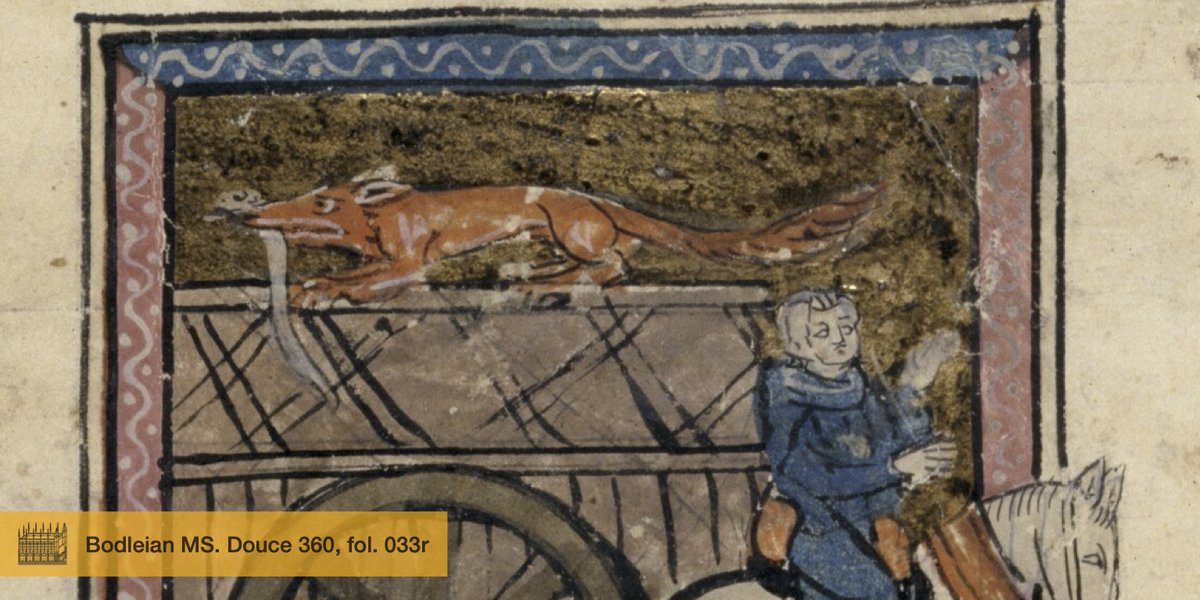 renart360's tweet photo. Objection, M’lud!🧑‍⚖️

An outrageous and unsubstantiated accusation! I hereby present evidence to the contrary and contest this allegation. 

Take not the smokescreen of rhyming couplets as truth,
For Merton’s fox is both incompetent and uncouth. 

#FoxFeuds #FoxNewsLies #medieval https://t.co/Q1dumGcYE0