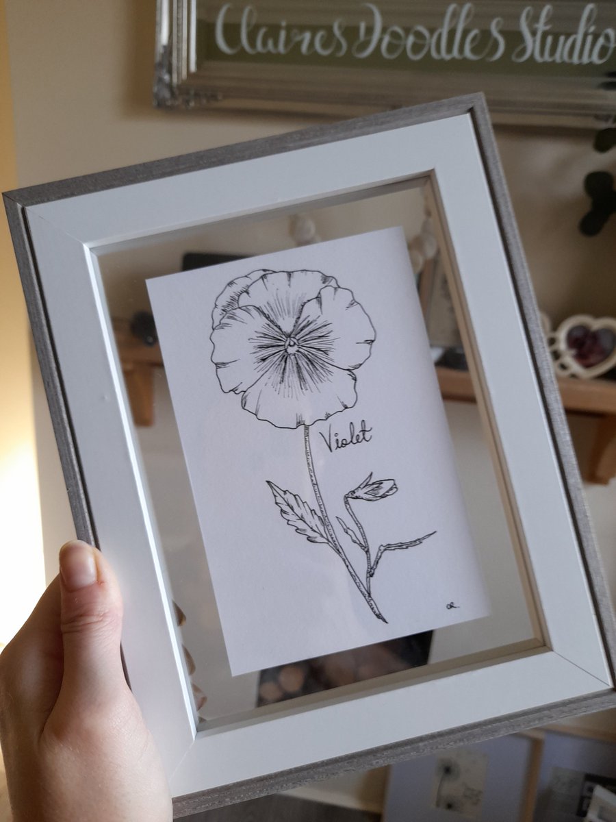 'Violet' - February birth flower.
The first of my birth flower collection pieces.
Only one available framed in this lovely frame. £15
What birth flower is yours?

A4 &amp; A5 (artwork only) also available. 

#elevenseshour #shopindie #birthdaygift