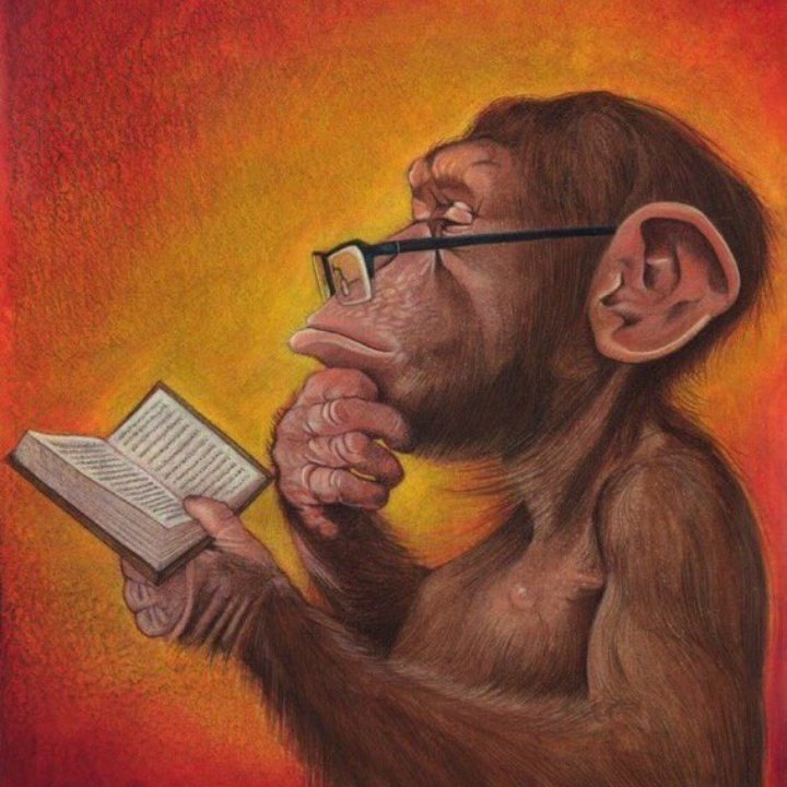 Обезьяна за компом. Типа умный. Идея. Типа умный. Человек студент.