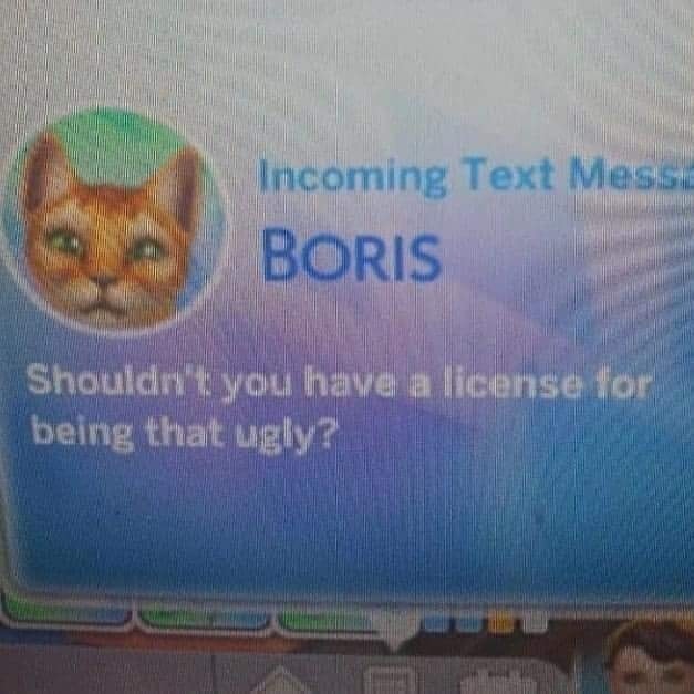 LosSimsES's tweet photo. Boris pls stop bullying us 🙃 https://t.co/Thi8iTW543