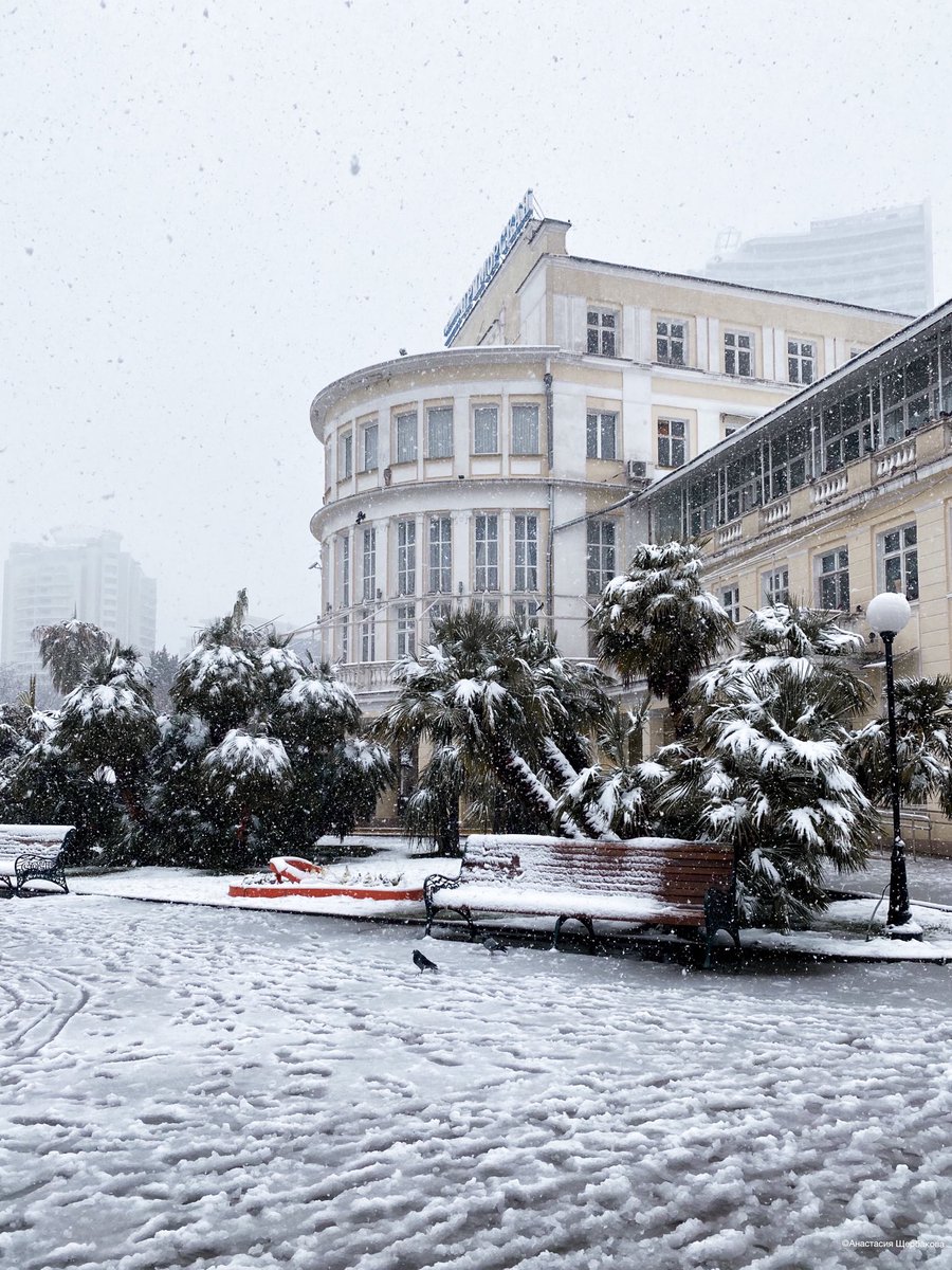 midsochi's tweet image. Зима пришла и на юг❄️
Снегопад в предгорной и горной зонах Сочи продолжается третьи сутки. На курорте сохраняется штормовое предупреждение. #photomir #sochi #winter #diplophoto
