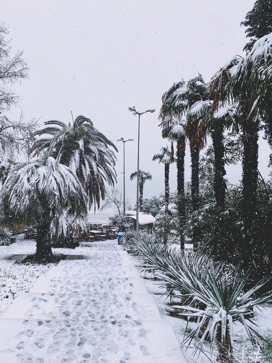 midsochi's tweet image. Зима пришла и на юг❄️
Снегопад в предгорной и горной зонах Сочи продолжается третьи сутки. На курорте сохраняется штормовое предупреждение. #photomir #sochi #winter #diplophoto