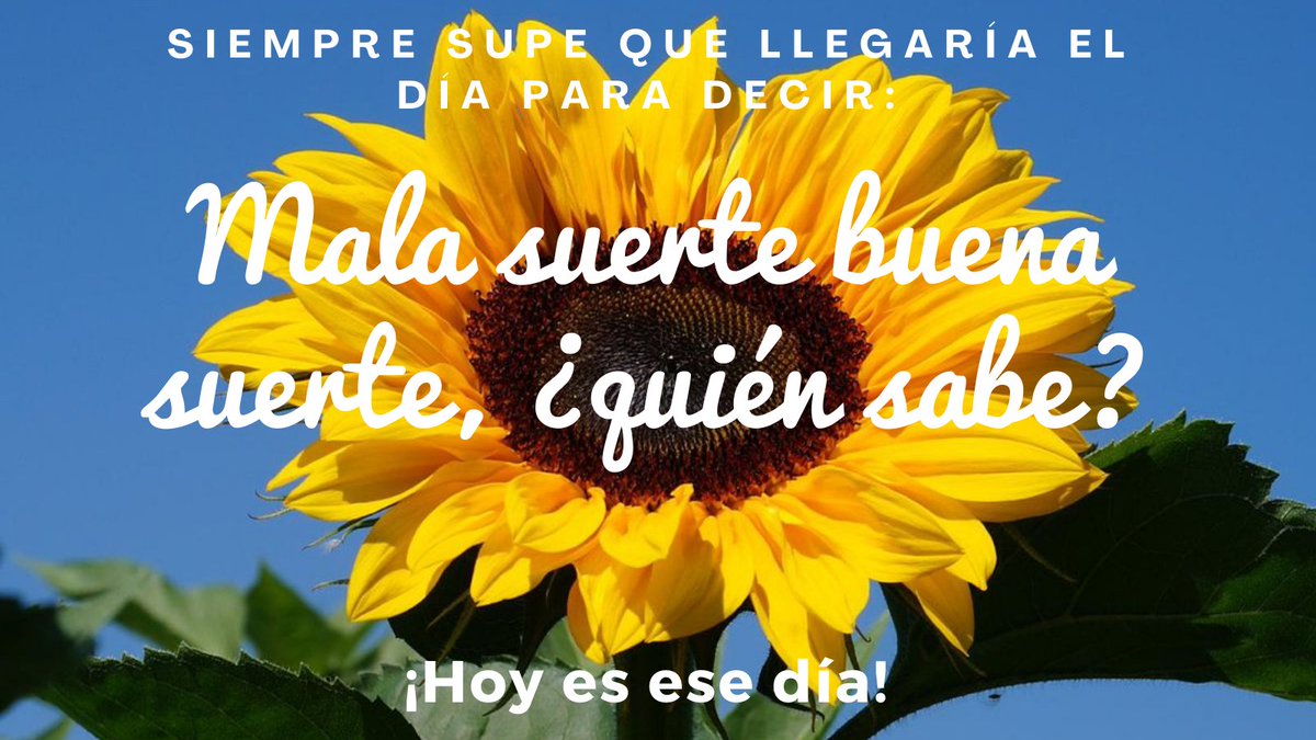Flor de Lis ⚜| 🇻🇪 tweet media