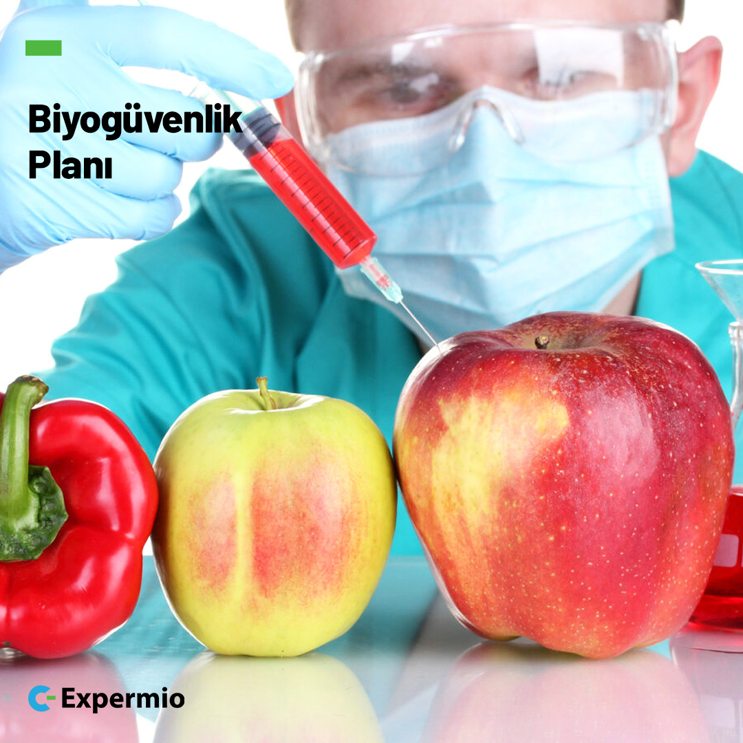Expermiocom's tweet photo. Uzmanımızın yazısını okumak için https://t.co/dqSE3tj04E
#expermio #uzman #bilgi #uzmaninasor #uzmanindanöğren #gıda #GDO #biyogüvenlik #bitki #doga #organizma https://t.co/uLmqCzex62