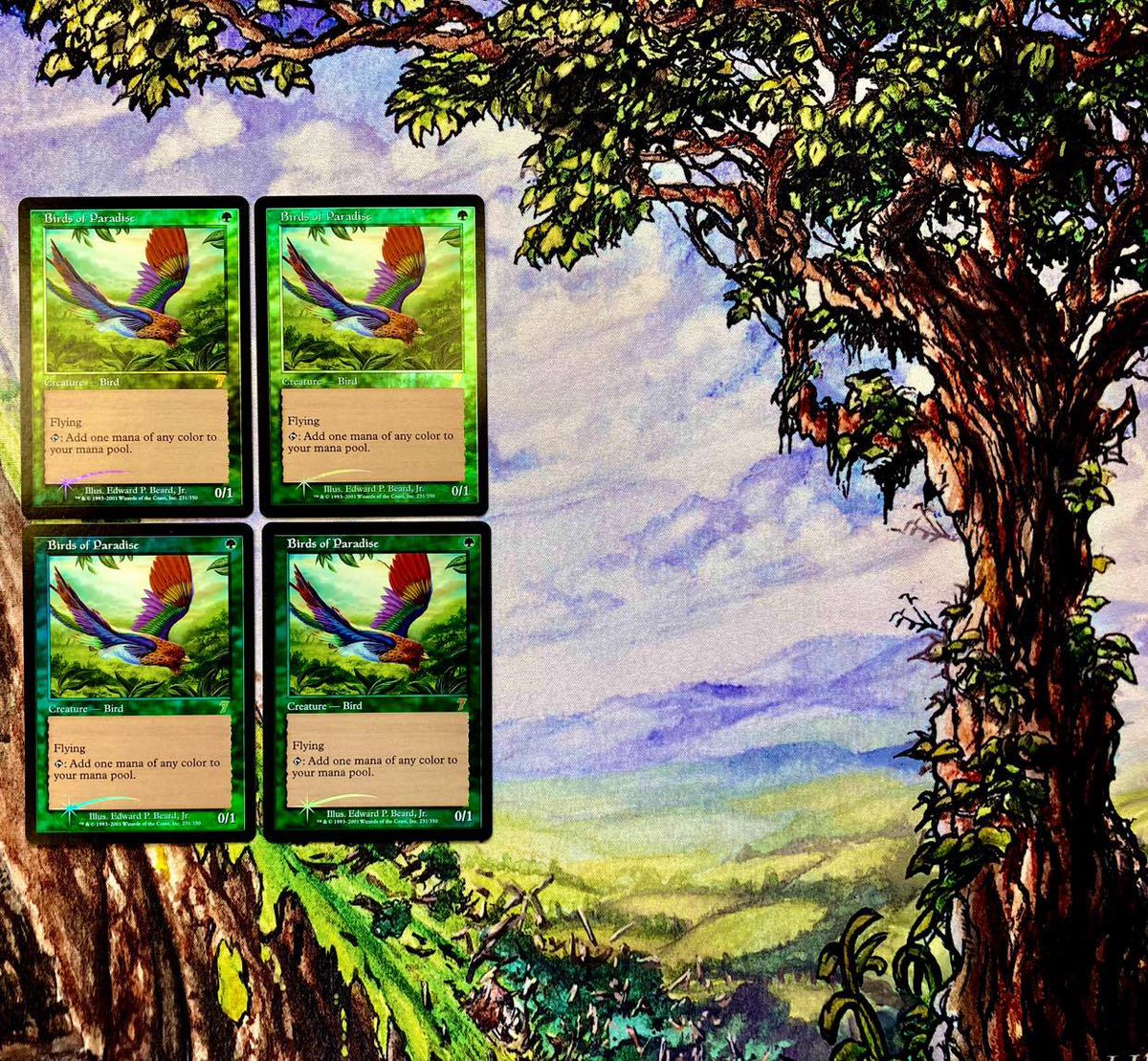 David Dobis tweet media