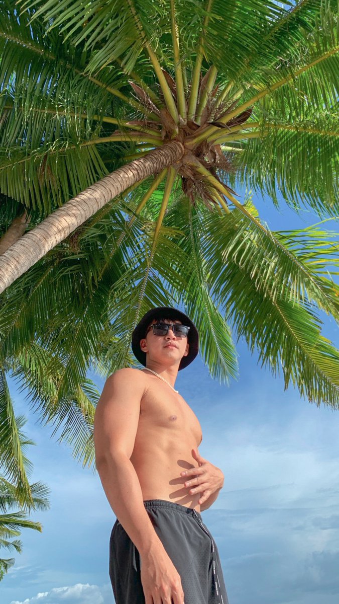 Johnmedina09's tweet photo. Sea breeze and the Palm trees https://t.co/HuTfoIaRsH