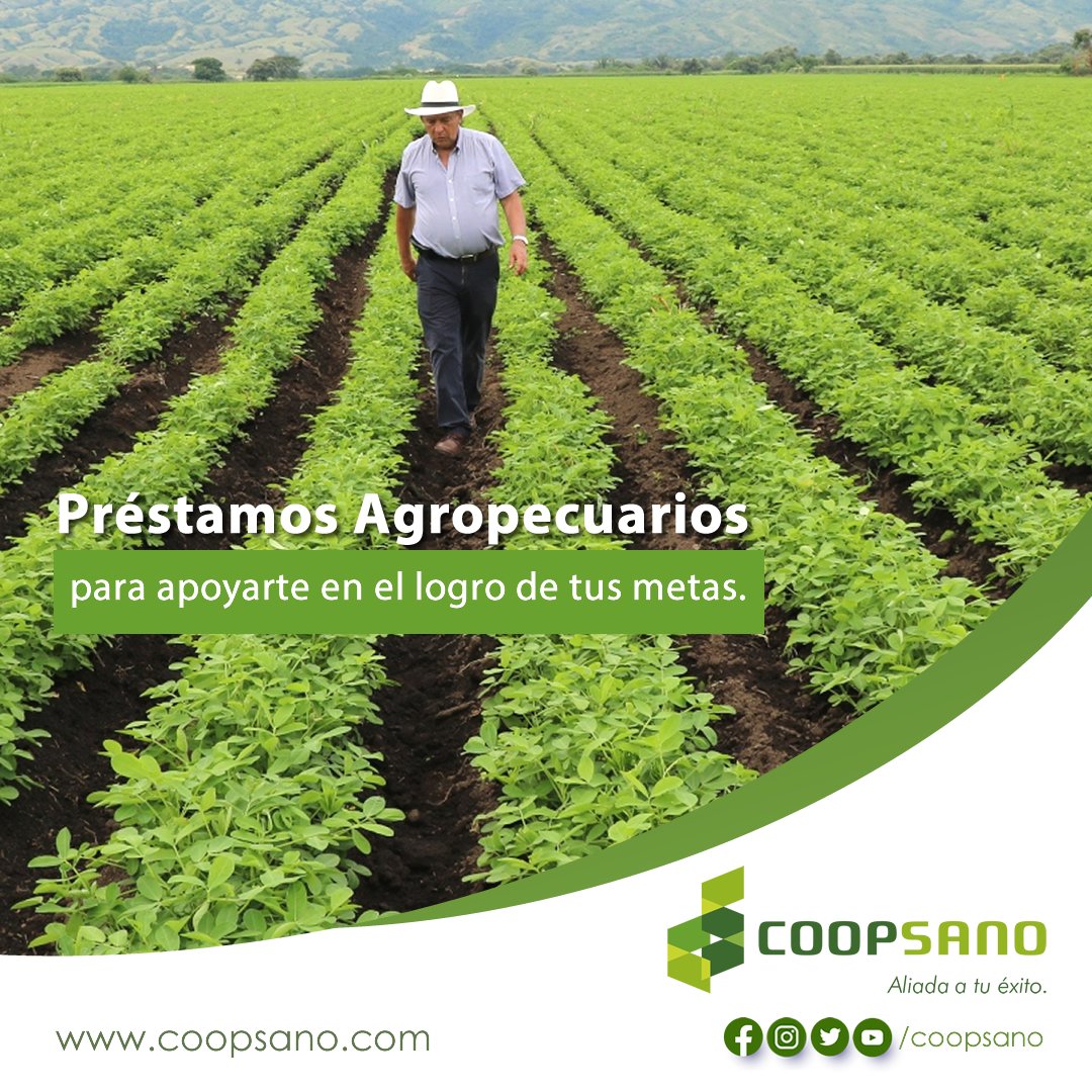 Nos interesa el crecimiento de nuestros asociados, por ello ponemos a su disposición "Préstamos Agropecuarios", para ayudarles en el logro de sus metas /  COOPSANO, 𝘈𝘭𝘪𝘢𝘥𝘢 𝘢 𝘵𝘶 é𝘹𝘪𝘵𝘰. 🤝

Visítanos hoy en: coopsano.com 🎯
